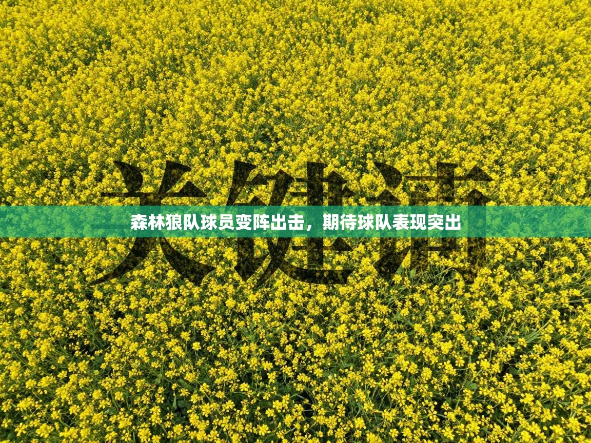 森林狼队球员变阵出击，期待球队表现突出  第2张